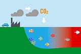 A Magical Fish Captures CO2 in the Ocean
