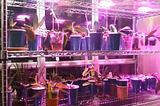 Orchid-Thinking about the setting of LED plant growth light