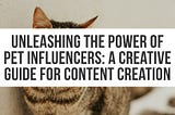 Pet Influencer Content Creation: Make a Lasting Impact