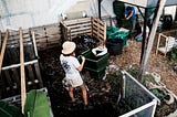 Going for compost gold turns Coast into new sustainability supplier