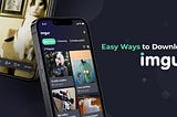 How to Download an Imgur Album in 5 Easy Ways?