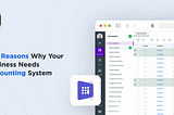 5 Reasons Why Your Business Needs Accounting System