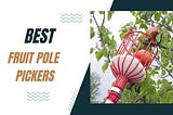 The 5 Best Fruit Pole Pickers: Making Fruit Harvesting Effortless