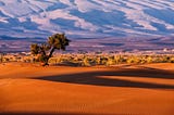 Sahara desert excursions in Morocco