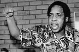 The Forgotten Hero of South Africa’s Struggle Against Apartheid