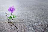 The Most Harmful Patterns Don’t Start With Red Flags