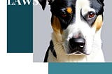 California’s Dog Breeding Laws: The Canine Code