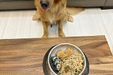 Lessons for Hoomans
