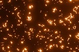 Phosphorous Prescience