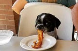 Can Dogs Eat Bacon? Good or Bad for Dogs!