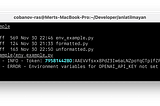Environment Variables Nedir? python-dotenv kullanımı