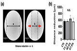 Effect of Spacer on the Fabrication and Properties of TiZr-Based BMG Foams for Bio-Implant…