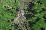 Satellites and Vegetation Management: Lessons from Multiple Grid-Wide Rollouts — LiveEO