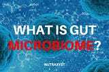 What Is Gut Microbiome? What Should I Know About It?