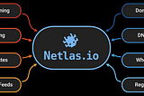 Bug Bounty Recon At Its Easiest with Netlas.io