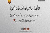 Beautiful Islamic Quran Quotes About Life | Quranic Verses in Urdu — UrduWaliPoetry