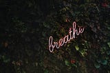 Breath focused meditation for beginners