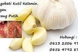 bagaimana cara mengobati kutil kelamin dengan bawang putih