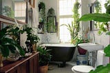 19 Bathroom Plants That Absorb Moisture