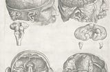 AI Improves with Cognitive Science Pt 2