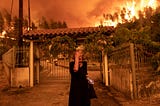 Greece Wildfires: What Happened and Why You Should Care