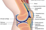 How do stem cells work in Back pain and Joint pain? Simple Explanation of a complex mechanism.