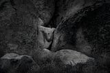 I Love Photographing in the Desert. Here are a Few Reasons Why