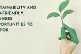 Sustainability and Eco-friendly Business Opportunities To Go For