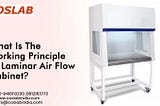 Laminar Air Flow Cabinet