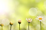 A Note on Resurrection