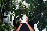 6 Houseplants that Help with Anxiety