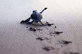 Take the Second Chance