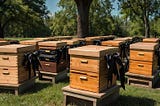 The Ancient Tradition of “Telling the Bees.”