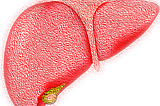 ##The First Signs of Alcoholic Liver Damage Are Not in the Liver