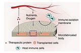 Treating Diabetes using “Living Drug Factories.”