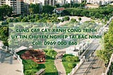 Cây Xanh Bắc Ninh — Cung cấp cây công trình chuyên nghiệp, giá tốt 0969 000 866