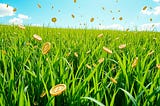 GRASS Airdrop Season 2: Join New Crypto Rewards