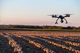 Taking Farming to New Heights: Detecting Soil-Borne Illnesses with Precision Farming