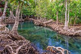Reclaiming Water in the Bruneian Imaginary