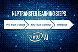 Future Directions for NLP in Commercial Environments — Intel AI Lab