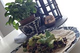 Quinoa, Black Bean & Avocado Wrap 