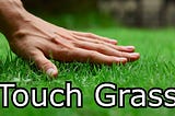 Touch Grass