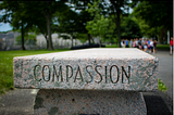 Compassion for the Collective