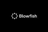 Securing Solana Transactions with Blowfish: A Comprehensive Guide