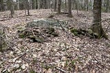 A Partially Buried Stone & Bedrock Feature
