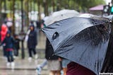 Flash flood warning issued for J&K amid gusty winds, heavy rain