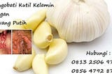 cara mengobati kutil kelamin dg bawang putih