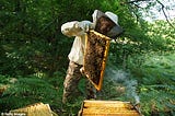 Did you know Beyonce is a Bee Collector ? Famous Musicians and their hobbies Vibinglive