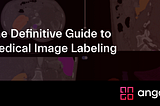 Medical Image Annotation: The Definitive Guide