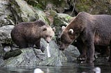 What is the Best Route to Alaska Thru Canada?